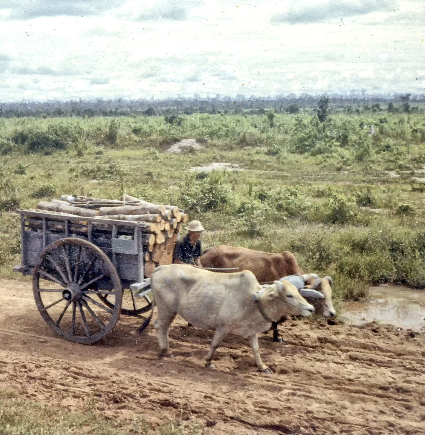 Vietnam photos, Bill McGee, Lloyd Smith